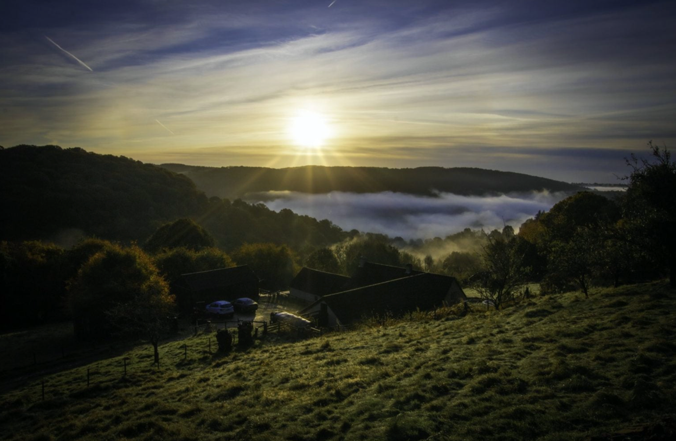 Forest Retreats